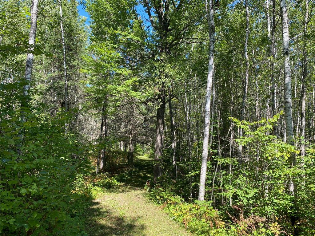 TBD Buck Dr. Bovey MN 55709 - Lawrence Lake 7063208 image26