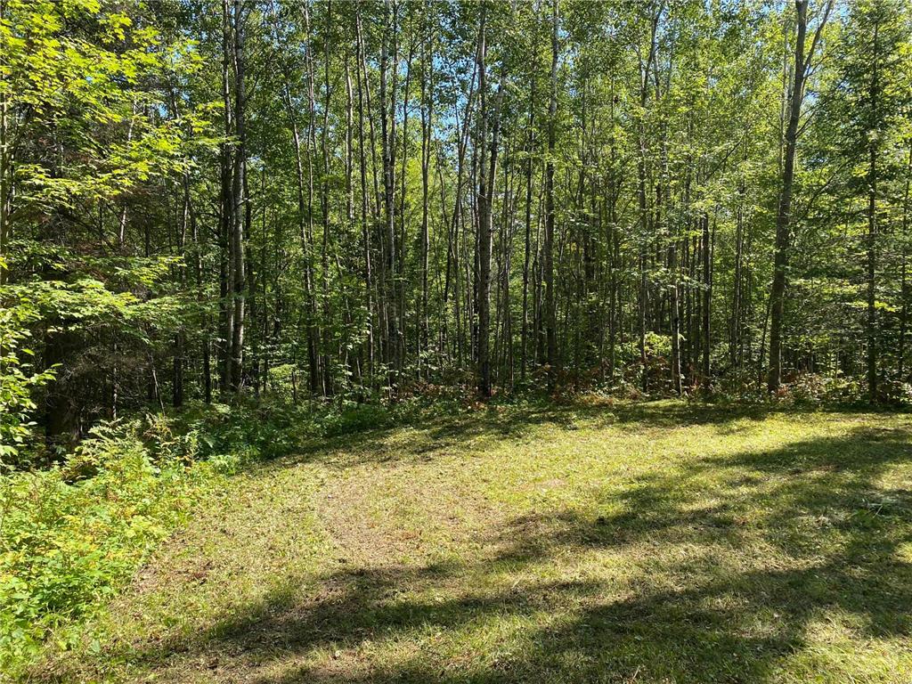 TBD Buck Dr. Bovey MN 55709 - Lawrence Lake 7063208 image27