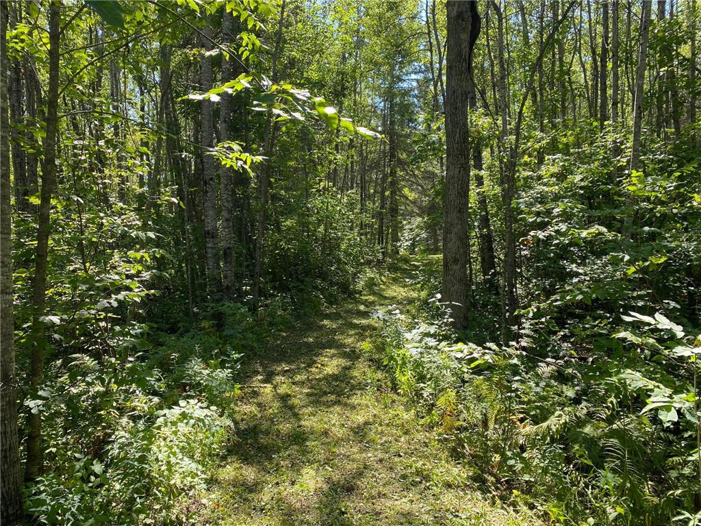 TBD Buck Dr. Bovey MN 55709 - Lawrence Lake 7063208 image9