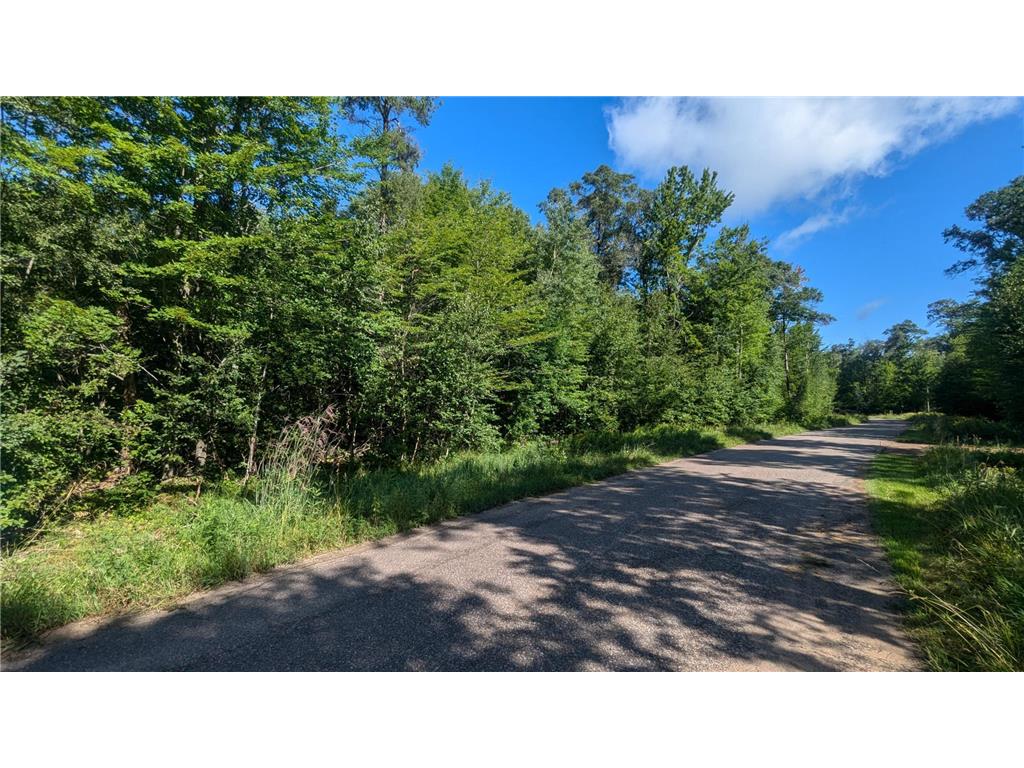TBD Buckhorn Trail Center Twp MN 56465 6582937 image1
