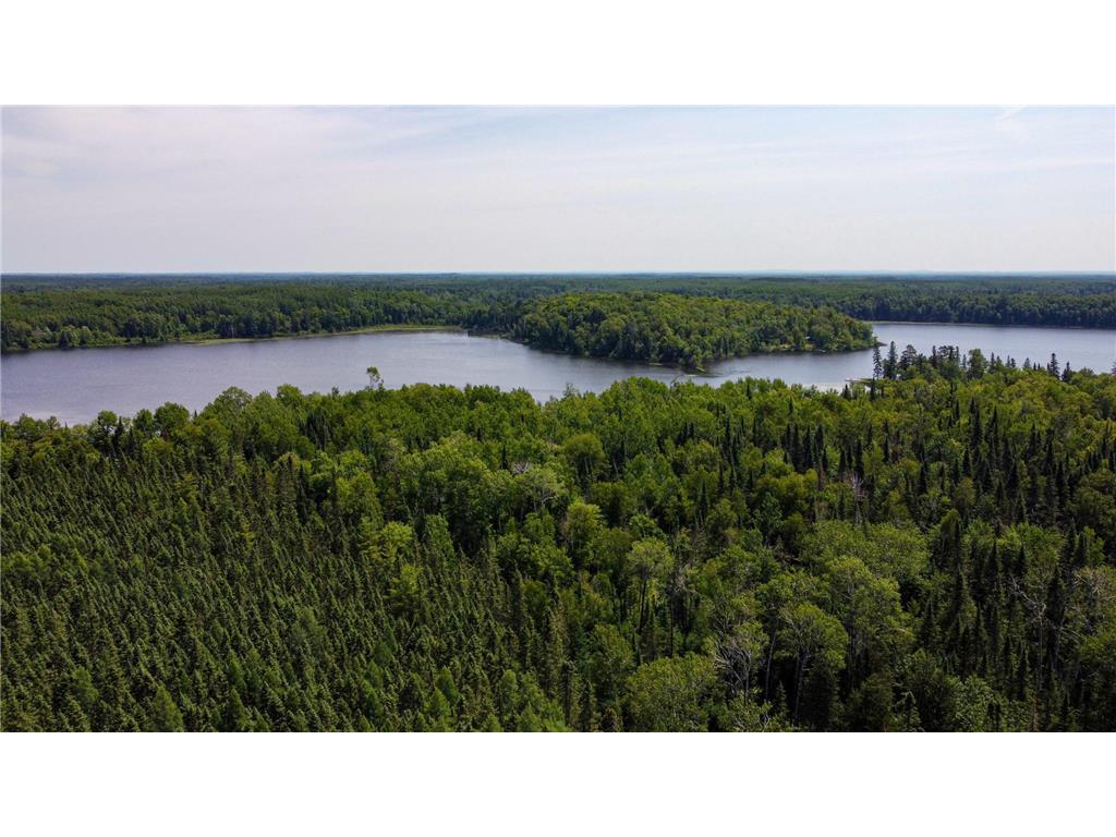 TBD Buckman Lake Road Balsam Twp MN 55716 - BUCKMAN 6399174 image1