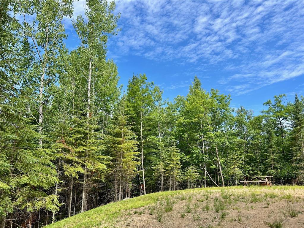 TBD Buckshot Trail NW Hackensack MN 56452 6481705 image1