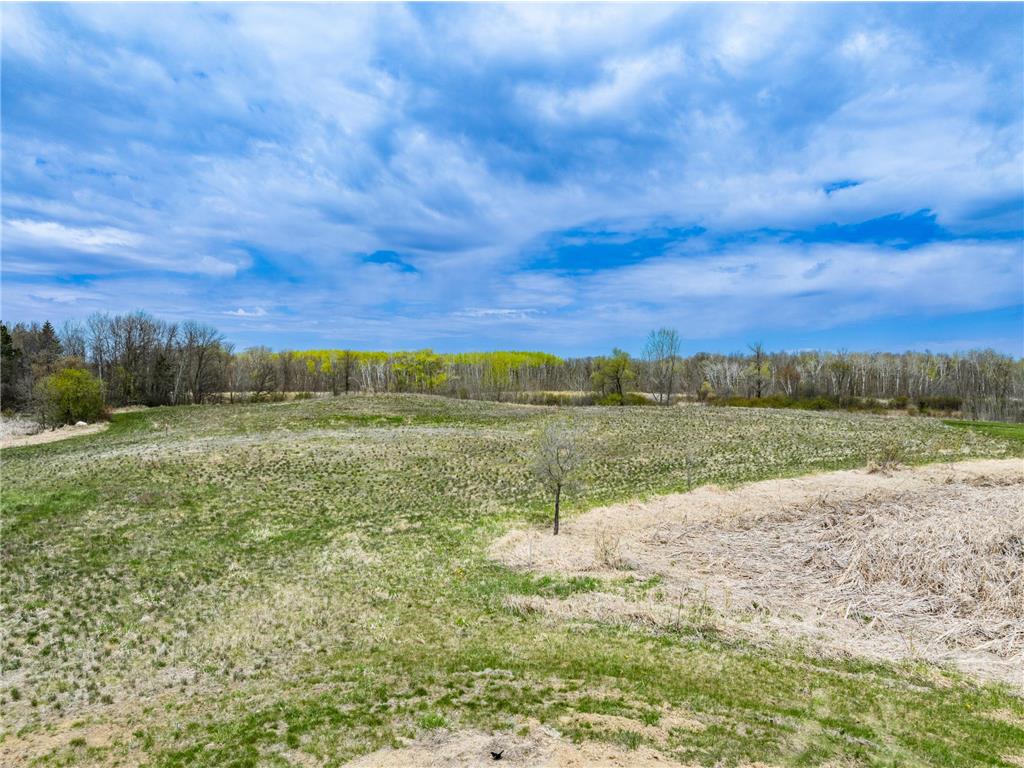 TBD Buckskin Park Court NE Carlos Twp MN 56319 7080039 image14