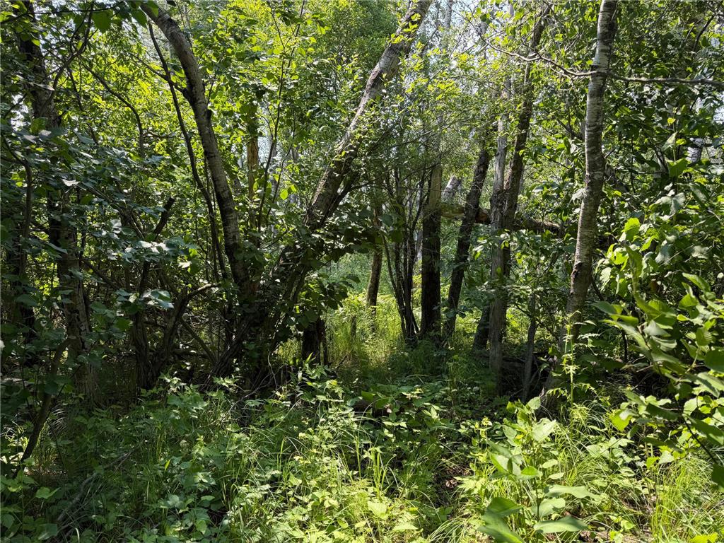 TBD Bunny Hill Road Sebeka MN 56477 7103599 image14