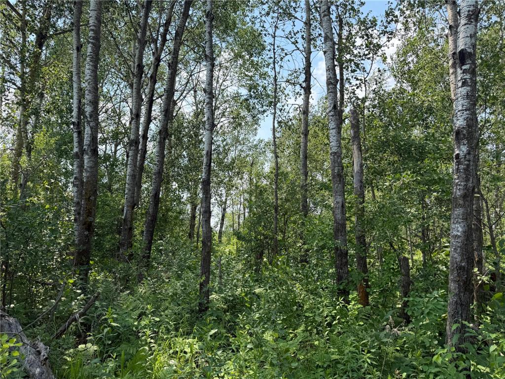 TBD Bunny Hill Road Sebeka MN 56477 7103599 image15