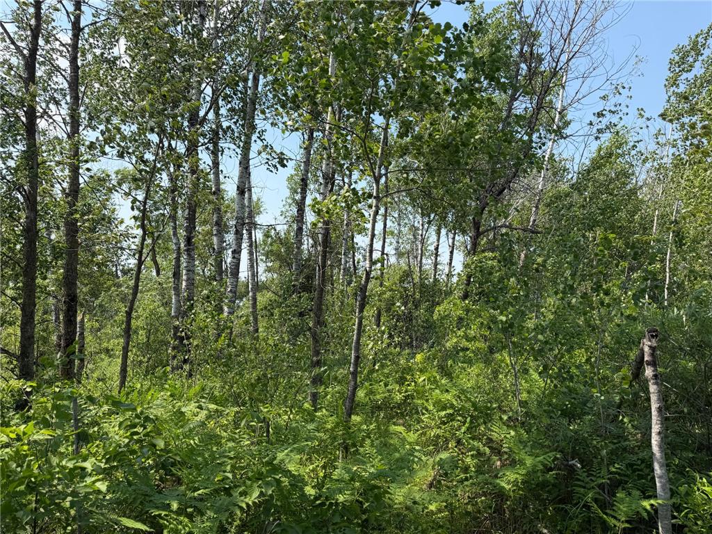 TBD Bunny Hill Road Sebeka MN 56477 7103599 image16