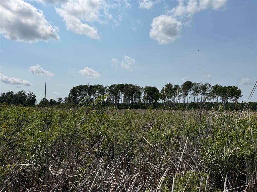 TBD Bunny Hill Road Sebeka MN 56477 7103599 image17