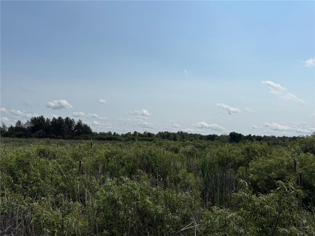 TBD Bunny Hill Road Sebeka MN 56477 7103599 image19