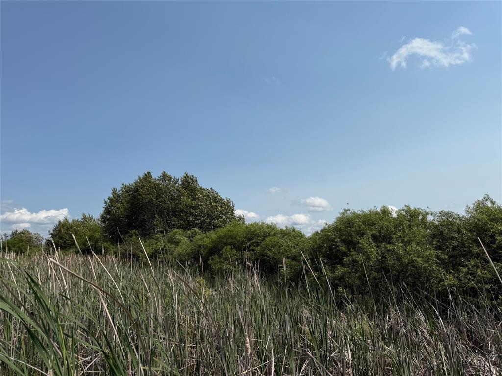 TBD Bunny Hill Road Sebeka MN 56477 7103599 image20