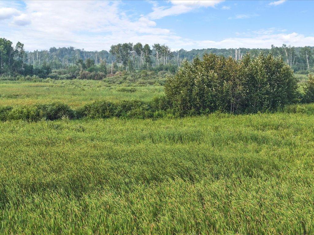 TBD Bunnyhill Road Sebeka MN 56477 6760902 image10