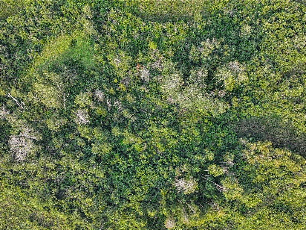 TBD Bunnyhill Road Sebeka MN 56477 6760902 image16