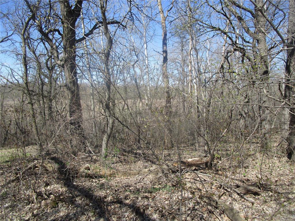 TBD Burgen Terrace SE Alexandria Twp MN 56308 7066278 image3