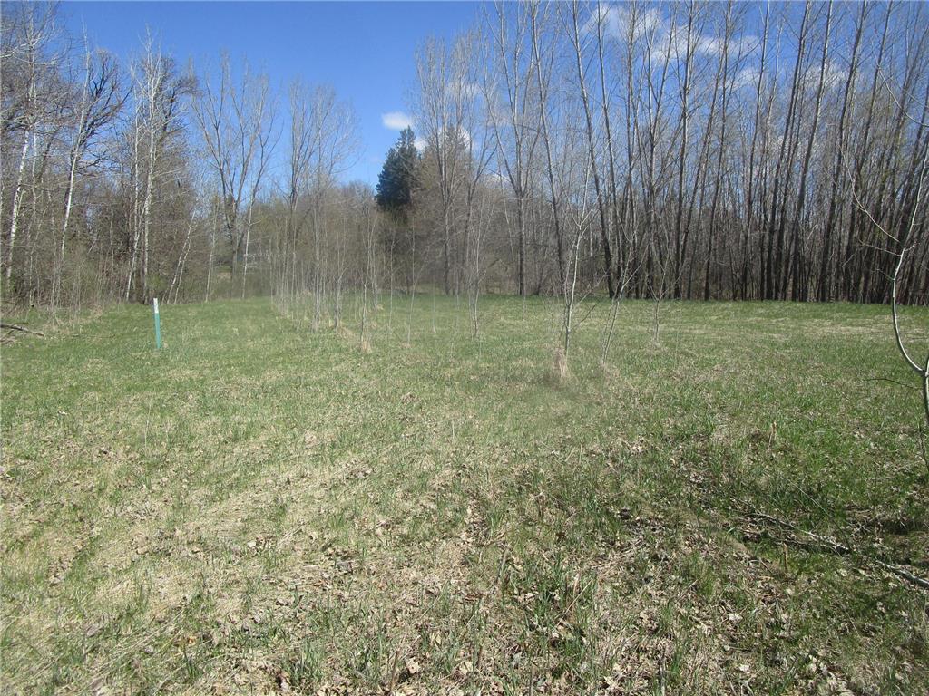 TBD Burgen Terrace SE Alexandria Twp MN 56308 7066278 image4