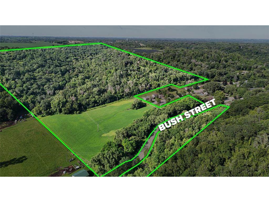 TBD Bush Street Red Wing MN 55066 6781346 image1