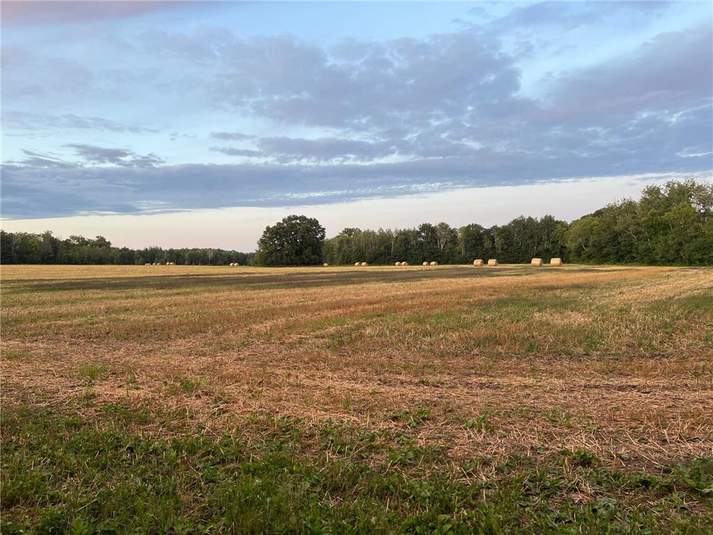 TBD Butternut Road Brainerd MN 56401 6779887 image10