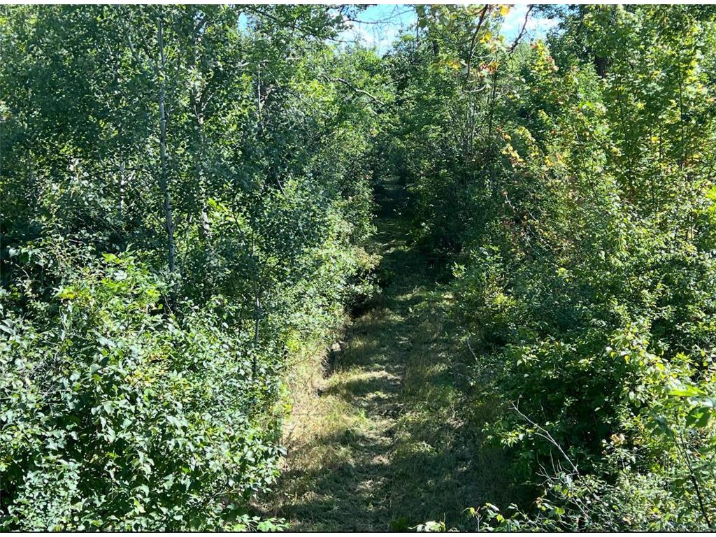 TBD Butternut Road Brainerd MN 56401 6779887 image12