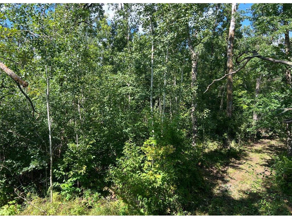 TBD Butternut Road Brainerd MN 56401 6779887 image13