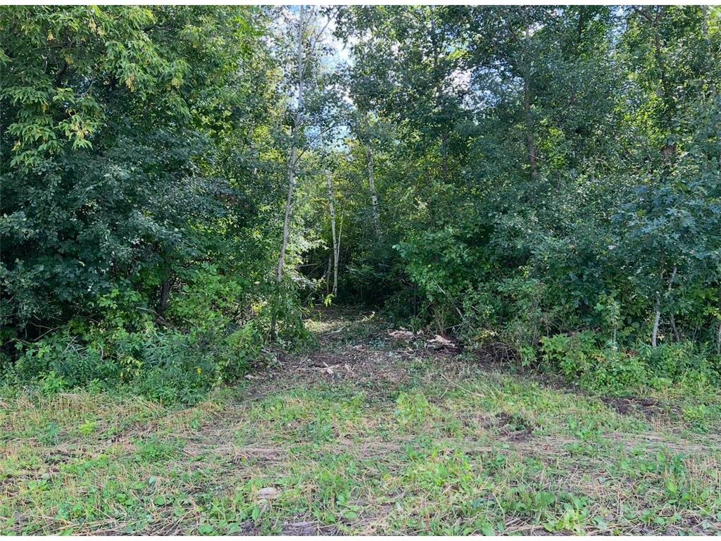 TBD Butternut Road Brainerd MN 56401 6779887 image14