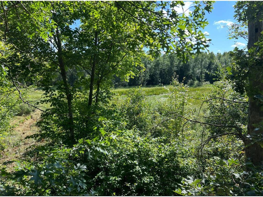 TBD Butternut Road Brainerd MN 56401 6779887 image15