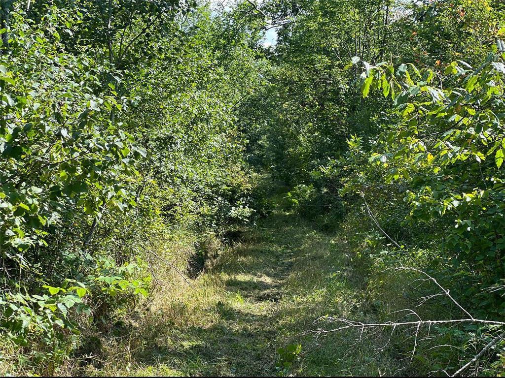 TBD Butternut Road Brainerd MN 56401 6779887 image16