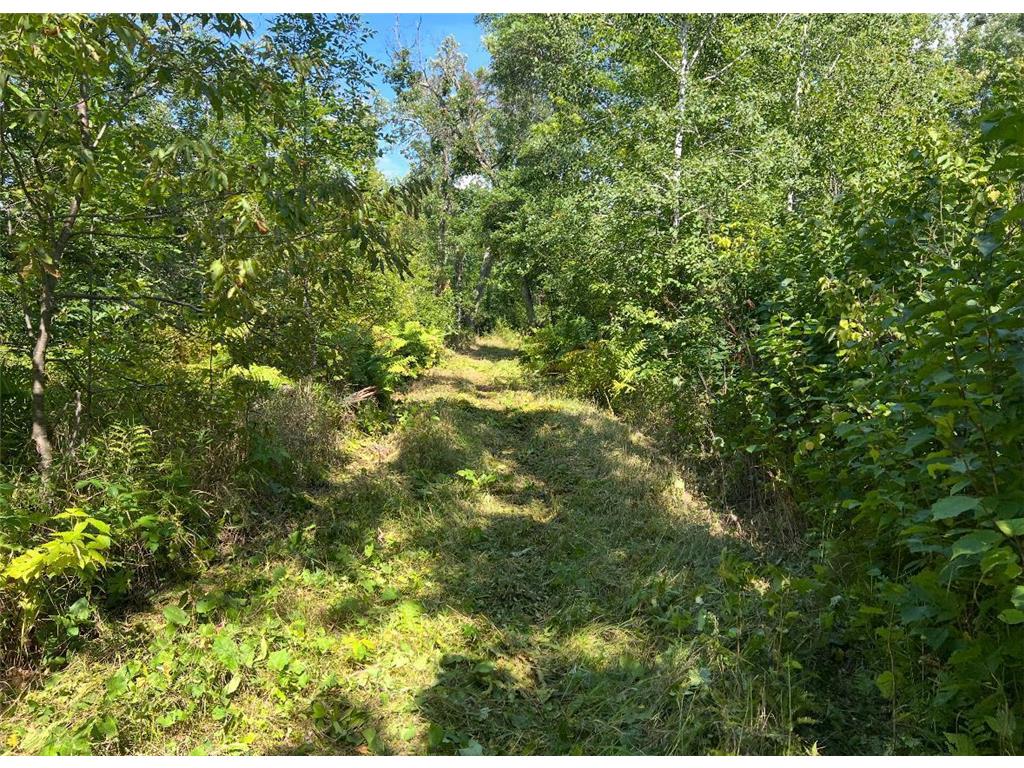 TBD Butternut Road Brainerd MN 56401 6779887 image17