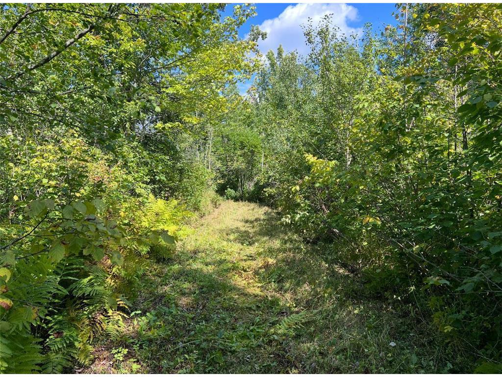 TBD Butternut Road Brainerd MN 56401 6779887 image18