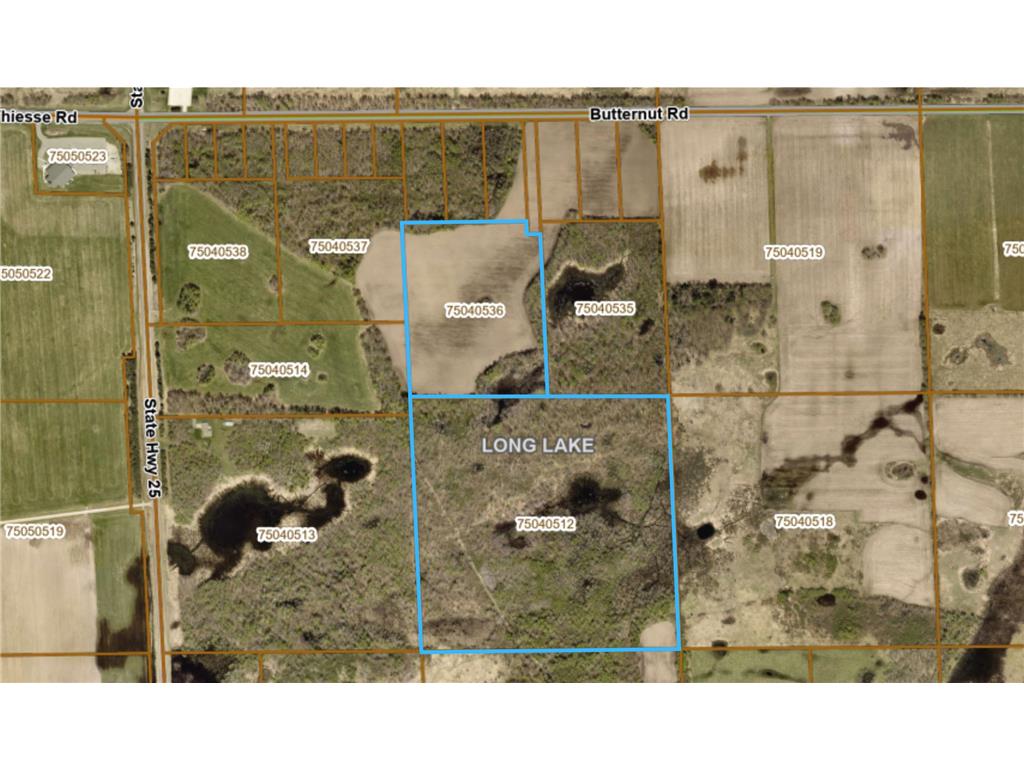 TBD Butternut Road Brainerd MN 56401 6779887 image2