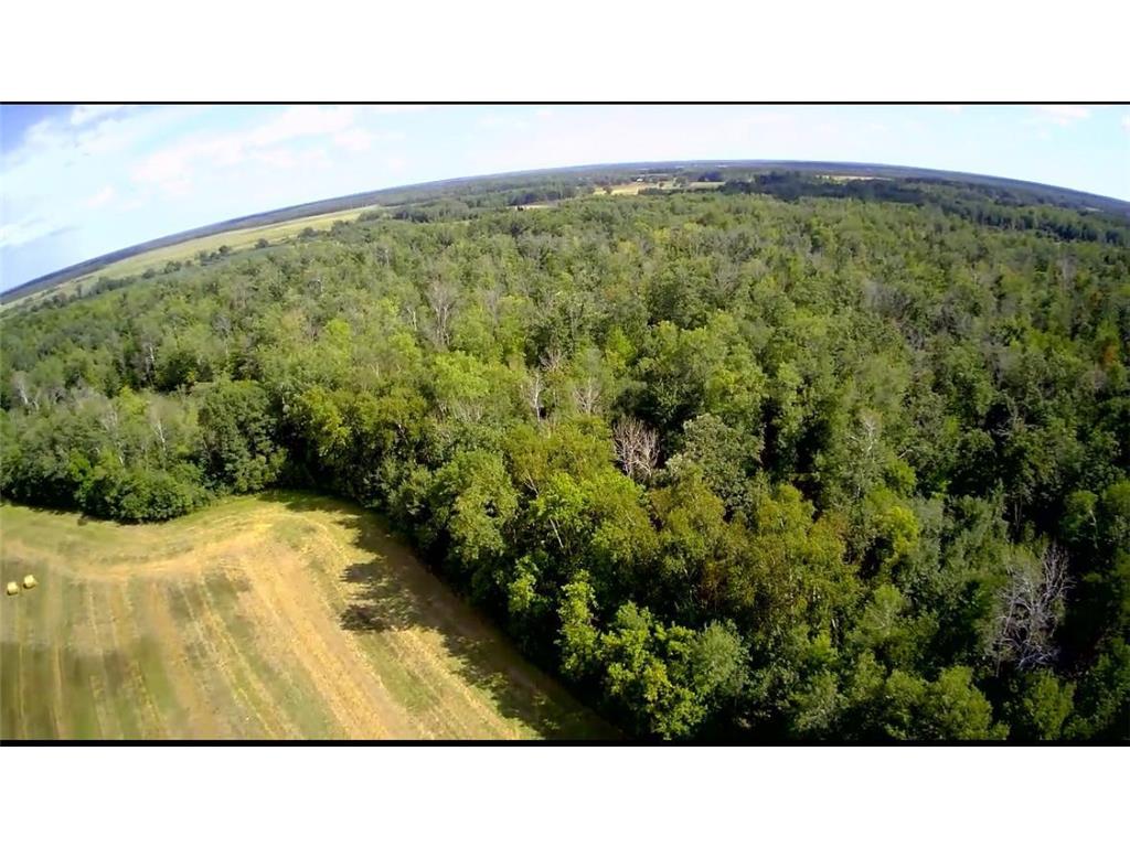 TBD Butternut Road Brainerd MN 56401 6779887 image22