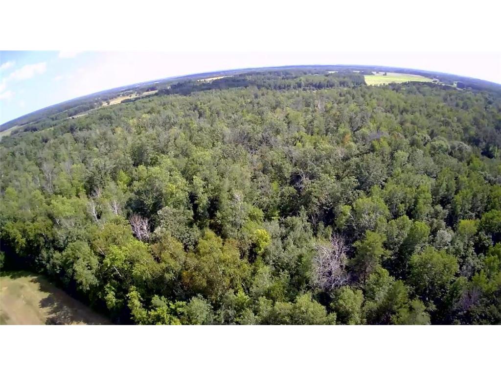 TBD Butternut Road Brainerd MN 56401 6779887 image23