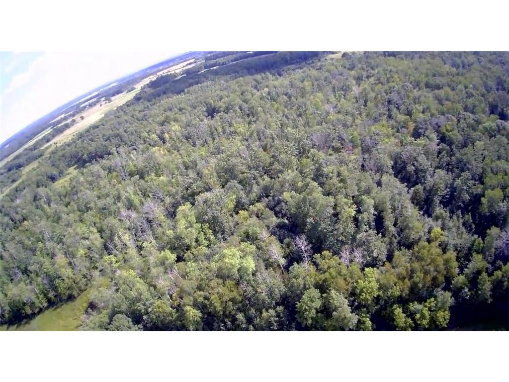 TBD Butternut Road Brainerd MN 56401 6779887 image24