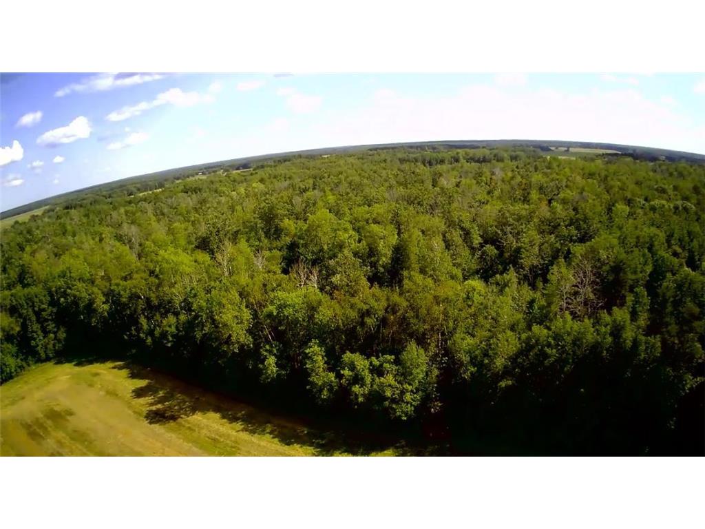 TBD Butternut Road Brainerd MN 56401 6779887 image25