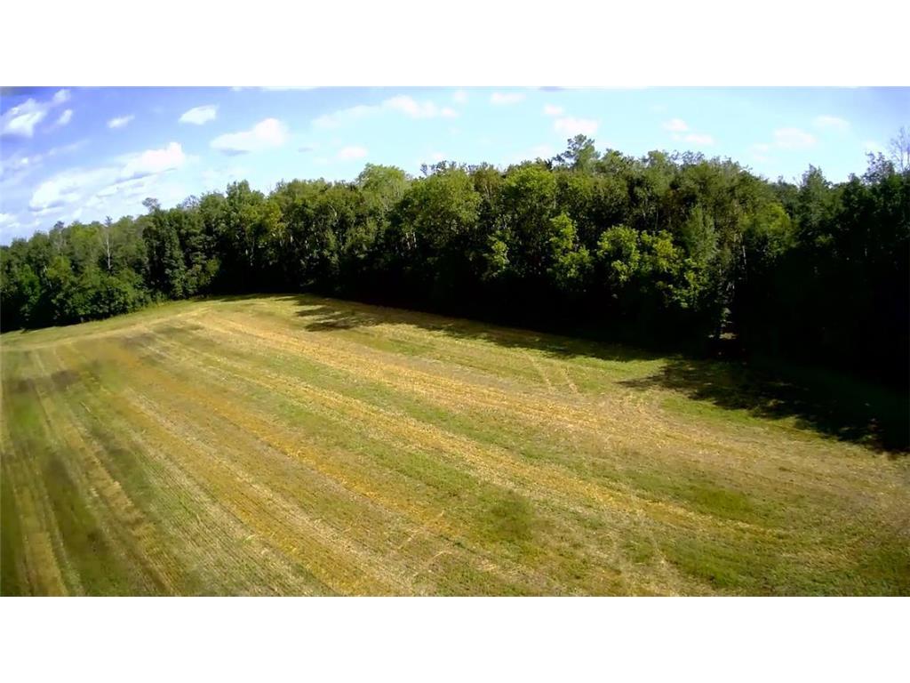TBD Butternut Road Brainerd MN 56401 6779887 image26