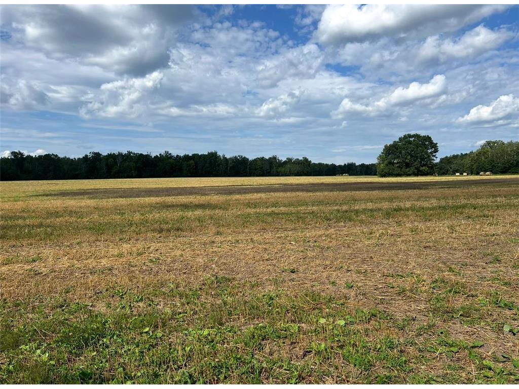 TBD Butternut Road Brainerd MN 56401 6779887 image6