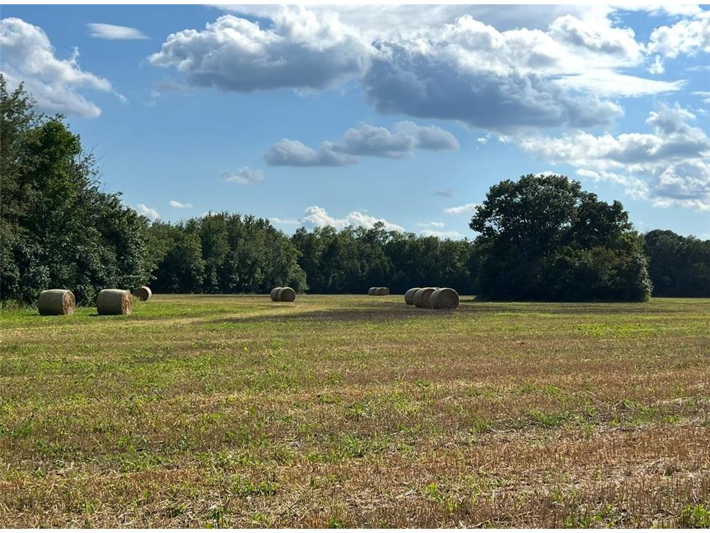 TBD Butternut Road Brainerd MN 56401 6779887 image7