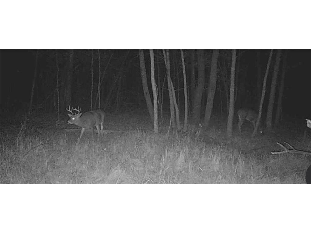 TBD Butternut Road Brainerd MN 56401 6779887 image8