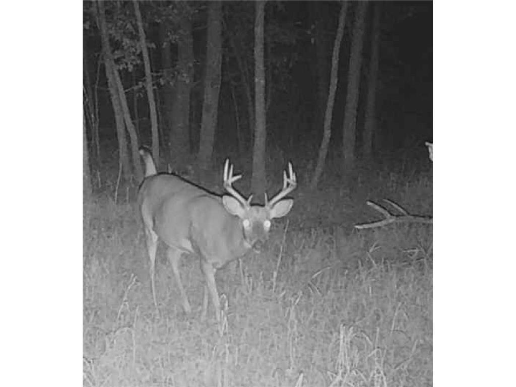 TBD Butternut Road Brainerd MN 56401 6779887 image9