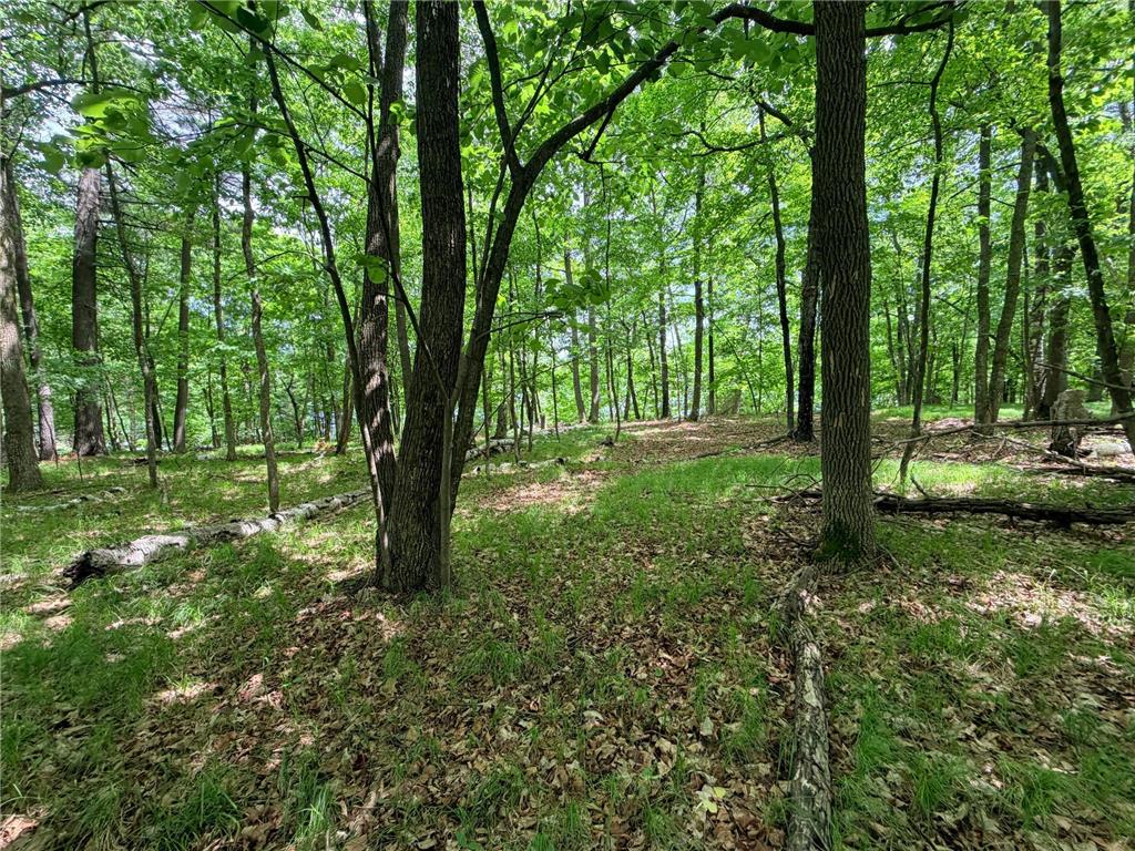 TBD Buxton Road NW Hackensack MN 56452 - McKeown 7101552 image3
