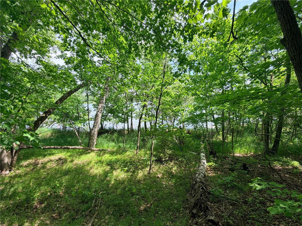 TBD Buxton Road NW Hackensack MN 56452 - McKeown 7101552 image4