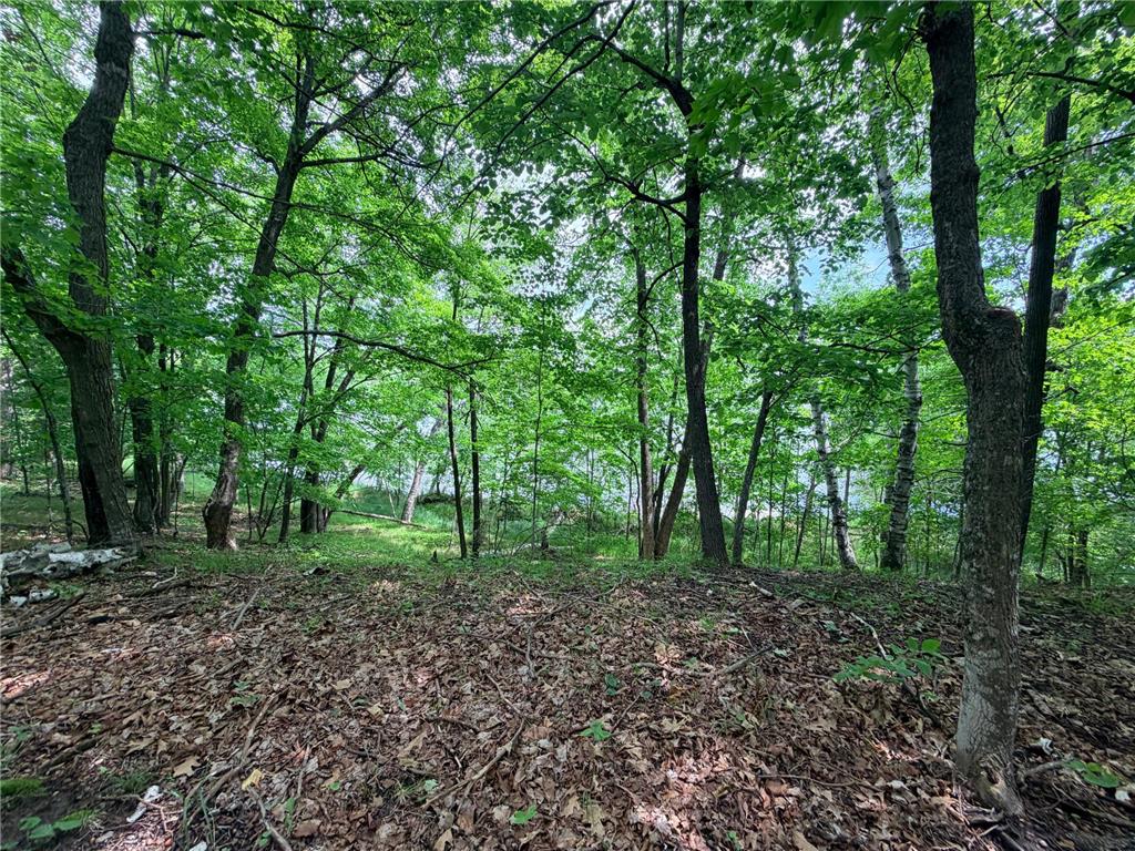 TBD Buxton Road NW Hackensack MN 56452 - McKeown 7101552 image5