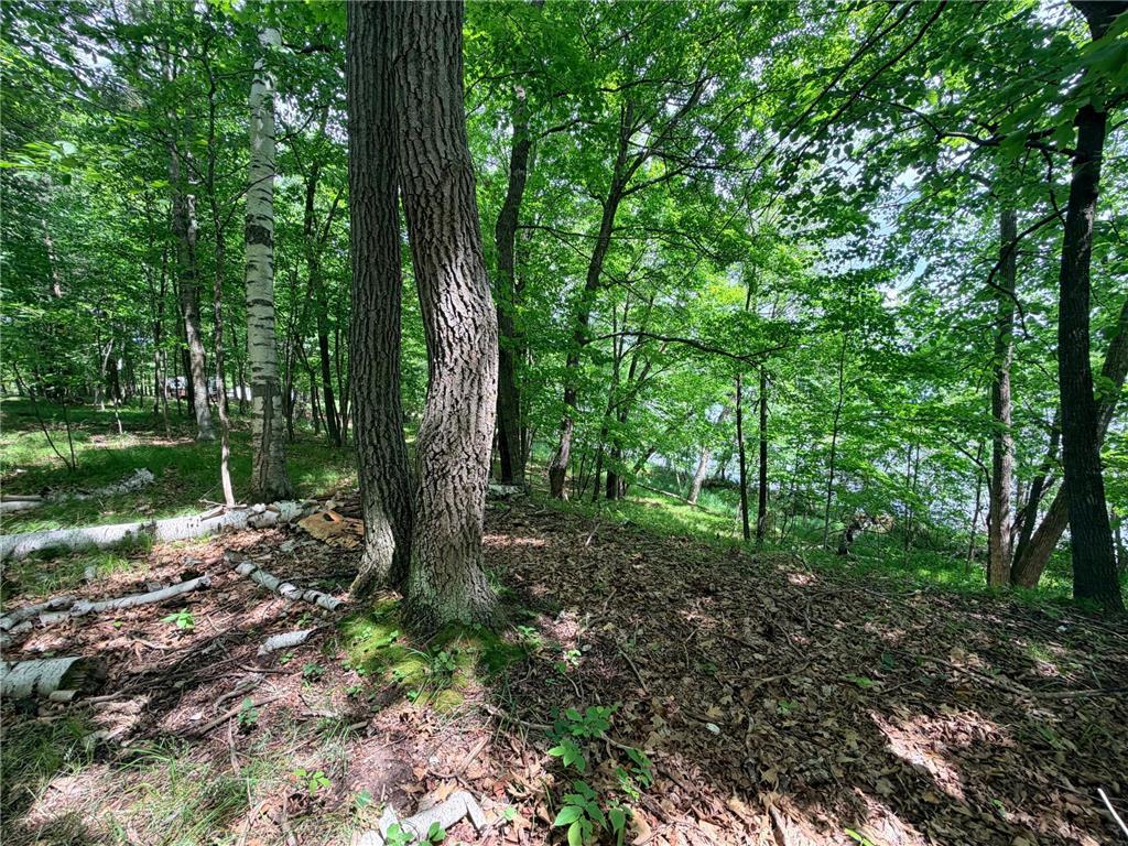 TBD Buxton Road NW Hackensack MN 56452 - McKeown 7101552 image6