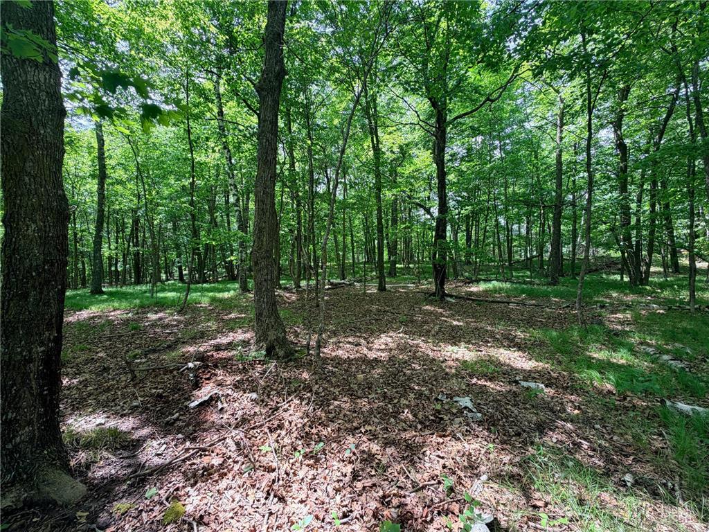 TBD Buxton Road NW Hackensack MN 56452 - McKeown 7101552 image7