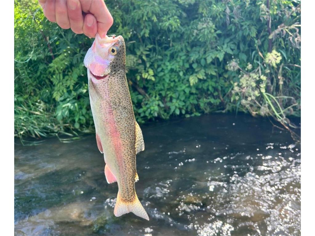 TBD-C County 8 Spring Grove MN 55954 7051024 image12