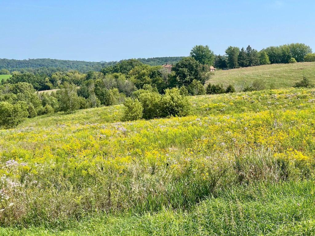 TBD-C County 8 Spring Grove MN 55954 7051024 image28