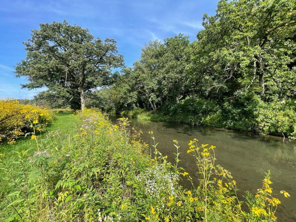 TBD-C County 8 Spring Grove MN 55954 7051024 image35