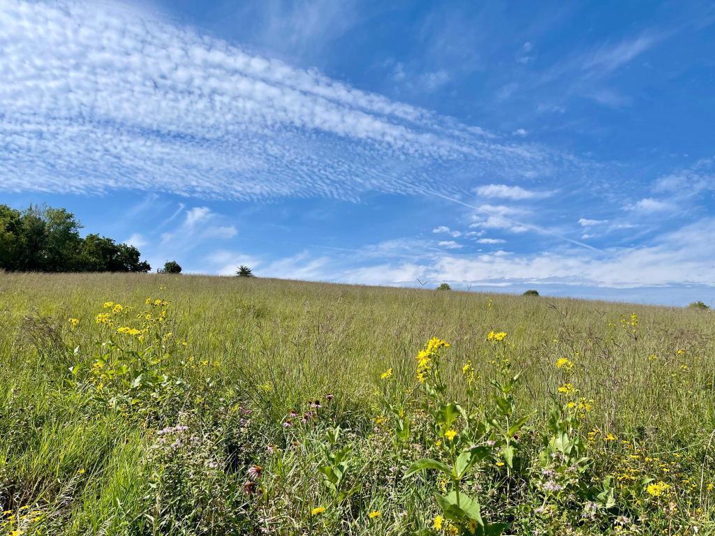 TBD-C County 8 Spring Grove MN 55954 7051024 image38