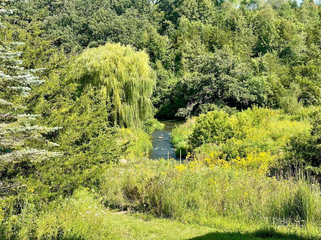 TBD-C County 8 Spring Grove MN 55954 7051024 image39
