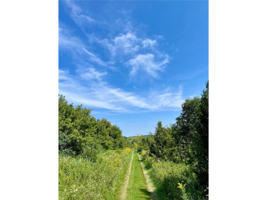 TBD-C County 8 Spring Grove MN 55954 7051024 image42