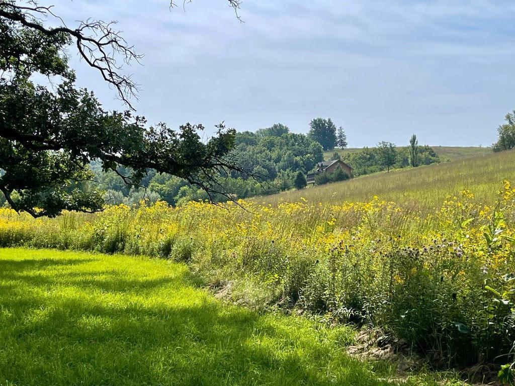 TBD-C County 8 Spring Grove MN 55954 7051024 image44