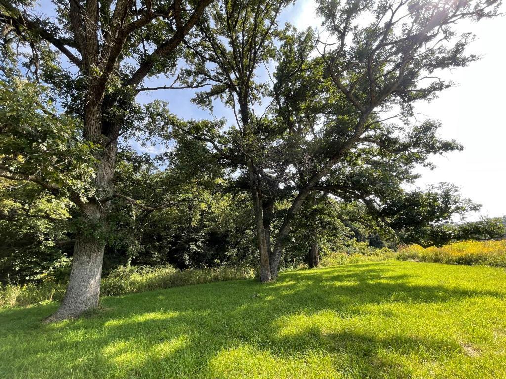 TBD-C County 8 Spring Grove MN 55954 7051024 image46