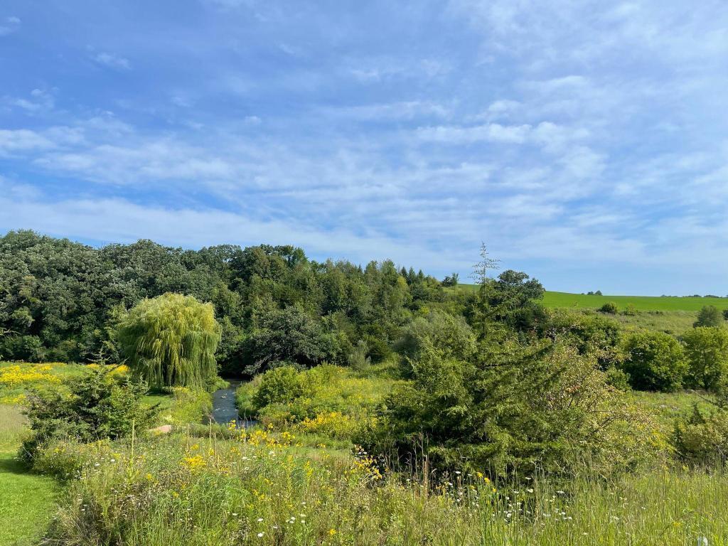 TBD-C County 8 Spring Grove MN 55954 7051024 image48